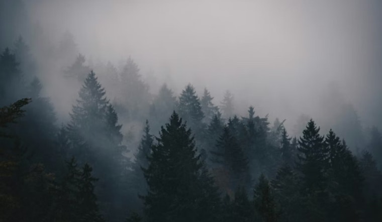 Houston Wakes In Soup-Thick Fog Before North Winds Sweep In