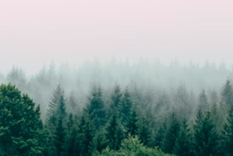 Houston Wakes Up in a Fog as Temps Climb All Week