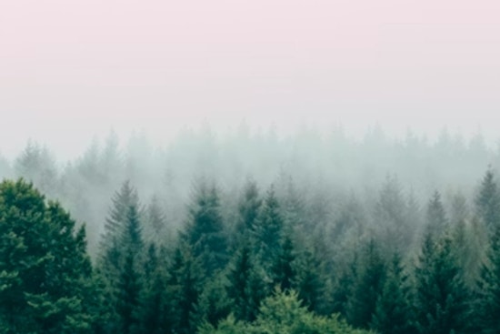 Houston Wakes Up in a Fog as Temps Climb All Week