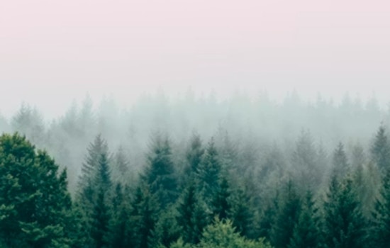 Houston Wakes Up in a Fog as Temps Climb All Week