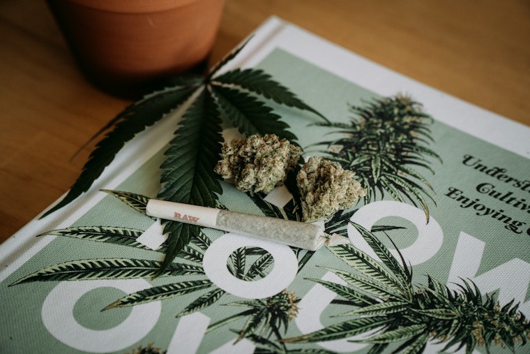 How Anaheim’s High Hopes For Pot Cash Went Up In Smoke Under FBI Glare