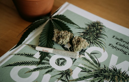 How Anaheim’s High Hopes For Pot Cash Went Up In Smoke Under FBI Glare