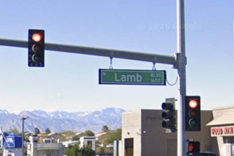 Husky Tragedy Near Lamb & Owens Las Vegas Woman Charged In Balto’s Death