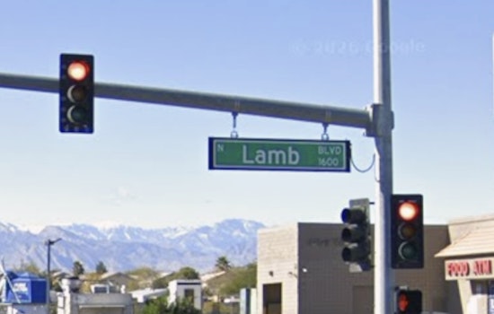 Husky Tragedy Near Lamb & Owens Las Vegas Woman Charged In Balto’s Death