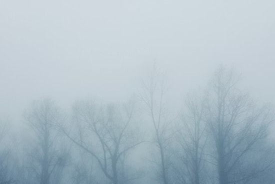 Icy Fog Chokes Columbus Morning Drive Before Temps Suddenly Soar
