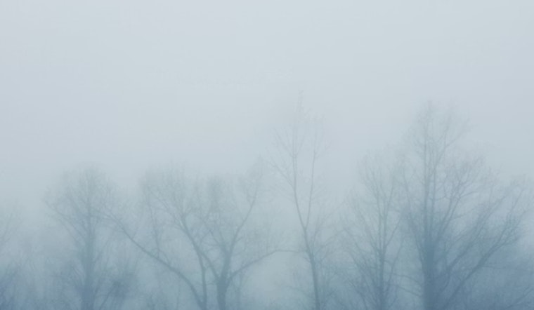 Icy Fog Chokes Columbus Morning Drive Before Temps Suddenly Soar