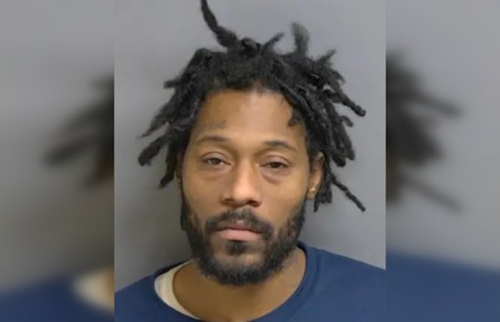 Illinois Man Charged with Double Homicide and Armed Robbery in Warren, Michigan