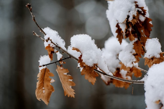 Indianapolis Braces for Light Snowfall Today as Chilly Temperatures Persist Through the Week