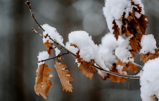 Indianapolis Braces for Light Snowfall Today as Chilly Temperatures Persist Through the Week
