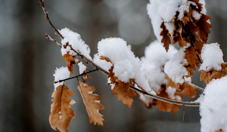 Indianapolis Braces for Light Snowfall Today as Chilly Temperatures Persist Through the Week