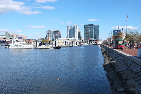 Inner Harbor Shock: City Cruises Pulling Plug On Baltimore Sailings