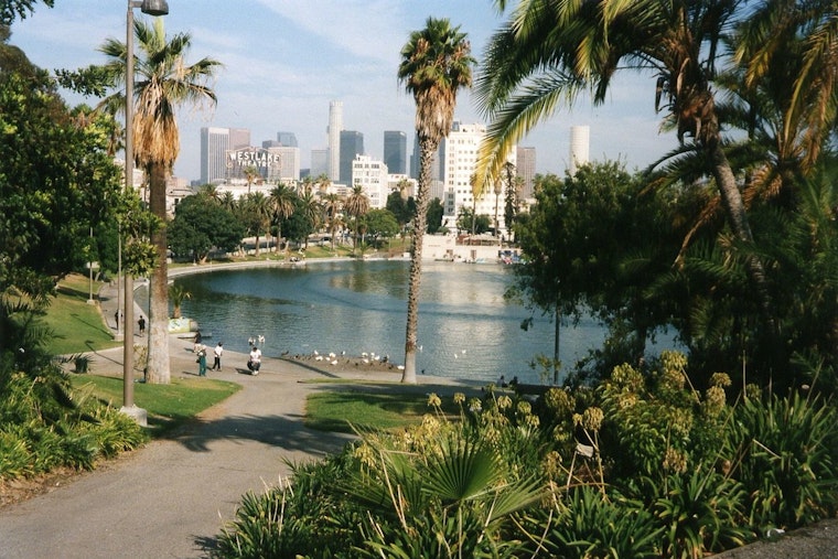 Inside MacArthur Park, LA Organizers Plot Fast-Track Defense Against ICE Raids