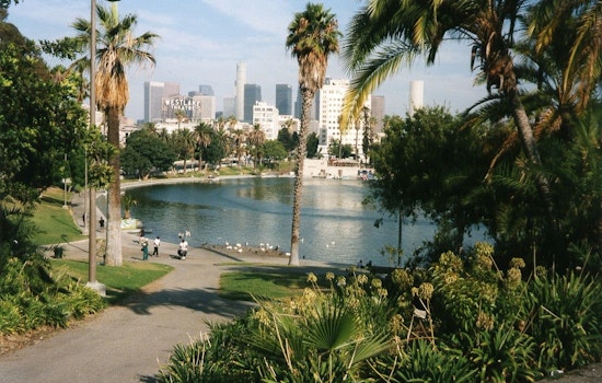 Inside MacArthur Park, LA Organizers Plot Fast-Track Defense Against ICE Raids