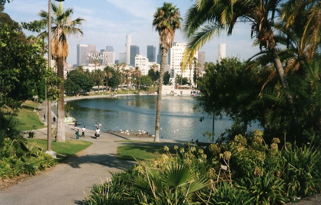 Inside MacArthur Park, LA Organizers Plot Fast-Track Defense Against ICE Raids