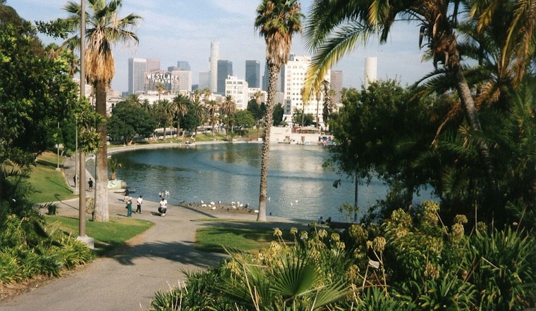 Inside MacArthur Park, LA Organizers Plot Fast-Track Defense Against ICE Raids