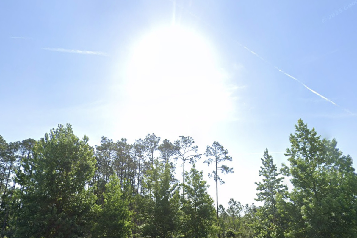 Jacksonville Forecast Calls for Sunshine, Showers, and Cooler Nights