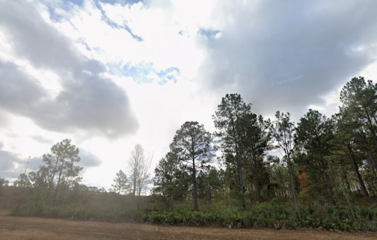 Jacksonville Forecast Shows a Mild Washington’s Birthday and a Warmer Week Ahead with Slight Shower Chances