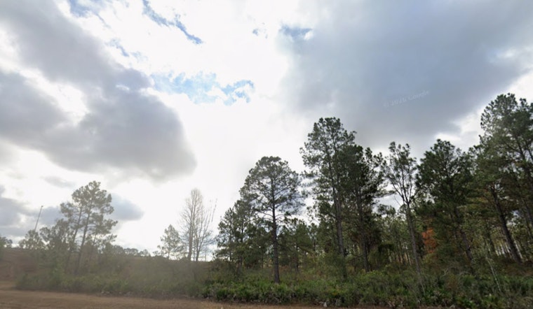 Jacksonville Forecast Shows a Mild Washington’s Birthday and a Warmer Week Ahead with Slight Shower Chances