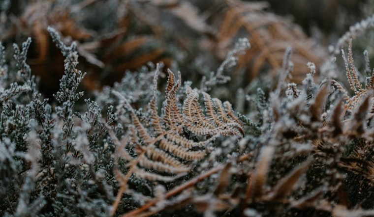 Jacksonville Shivers As Freeze Warning Freezes Out Morning Commute