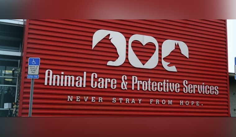 Jacksonville Ups the Ante in Animal Cruelty Crackdown with Cash Rewards and Stricter Penalties