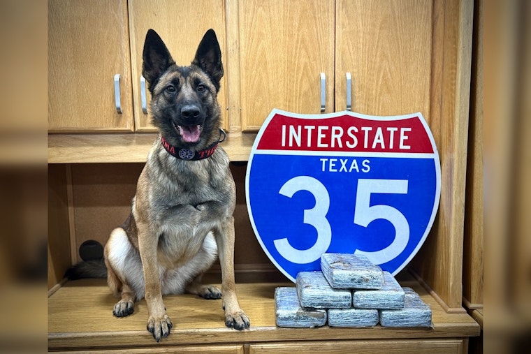 K9 Karma Seizes 15+ Pounds Of Cocaine In Waco District