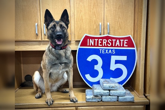 K9 Karma Seizes 15+ Pounds Of Cocaine In Waco District