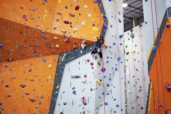 Kansas City Landlord Snaps Up Essex Crossing Climbing Giant On LES