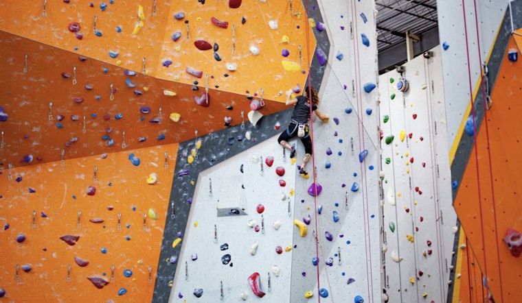 Kansas City Landlord Snaps Up Essex Crossing Climbing Giant On LES