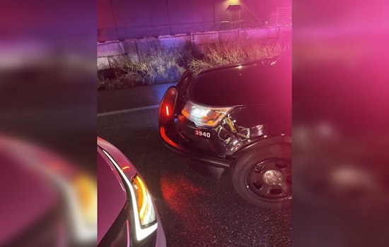 Kent Cops Say Suspected Car Thief Rammed Patrol Car With Stolen Kia