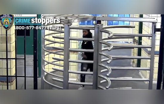 Knife-Wielding Thief Nabs Teen's Jacket On Brooklyn N Train