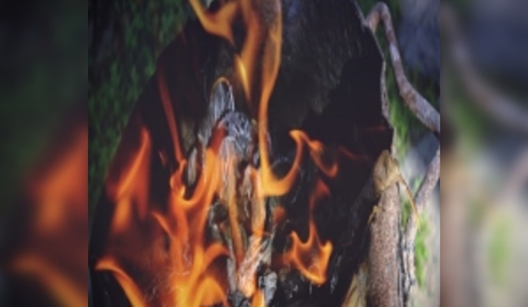 Knox County Bans Open Burning Amid High Wind Forecasts