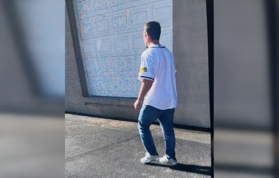Knoxville Police Seek Suspect After Attempted Dog Theft Near Forest Park