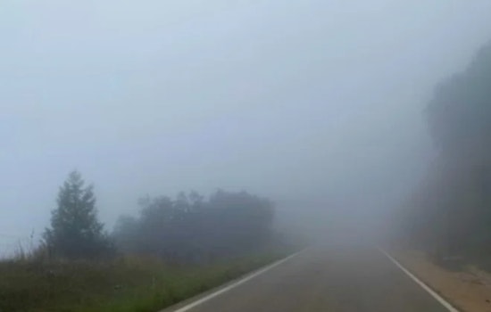 Knoxville Wakes Up in a Fog, Then Flirts With the 70s