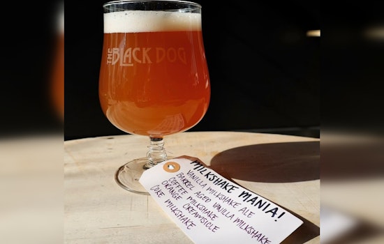 Knoxville's Black Dog Readies To Open In Former Elst Space
