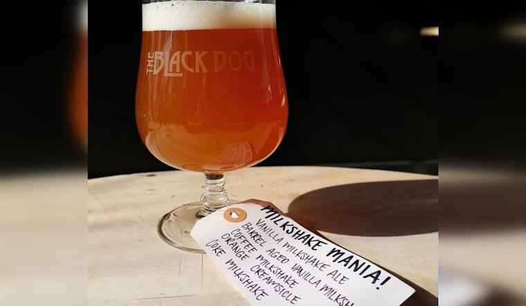 Knoxville's Black Dog Readies To Open In Former Elst Space