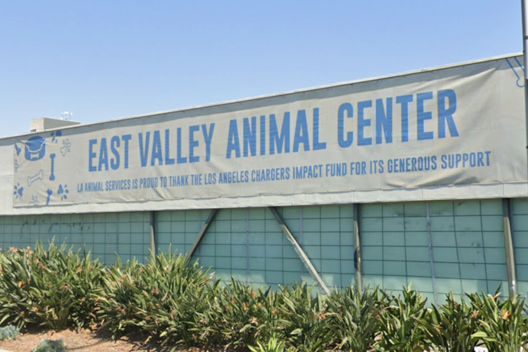 L.A. Shelter Mauling Nets $5.4 Million Jury Shock