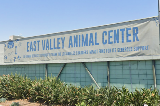 L.A. Shelter Mauling Nets $5.4 Million Jury Shock