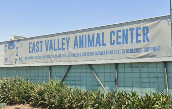 L.A. Shelter Mauling Nets $5.4 Million Jury Shock