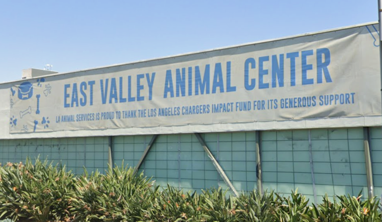L.A. Shelter Mauling Nets $5.4 Million Jury Shock