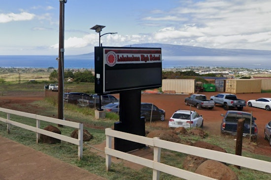 Lahainaluna Teens Turn Hillside Into Tree Hub For Lahaina Rebuild