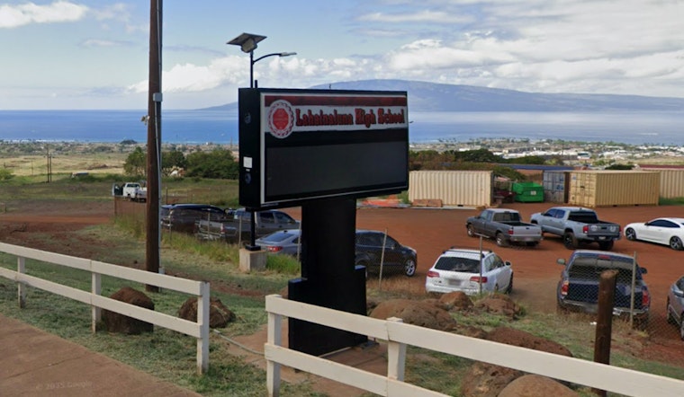 Lahainaluna Teens Turn Hillside Into Tree Hub For Lahaina Rebuild