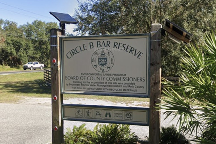 Lakeland's Circle B Choked With Dead Tilapia After Brutal Cold Snap