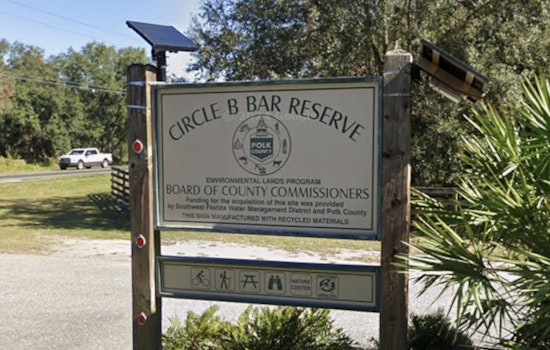 Lakeland's Circle B Choked With Dead Tilapia After Brutal Cold Snap