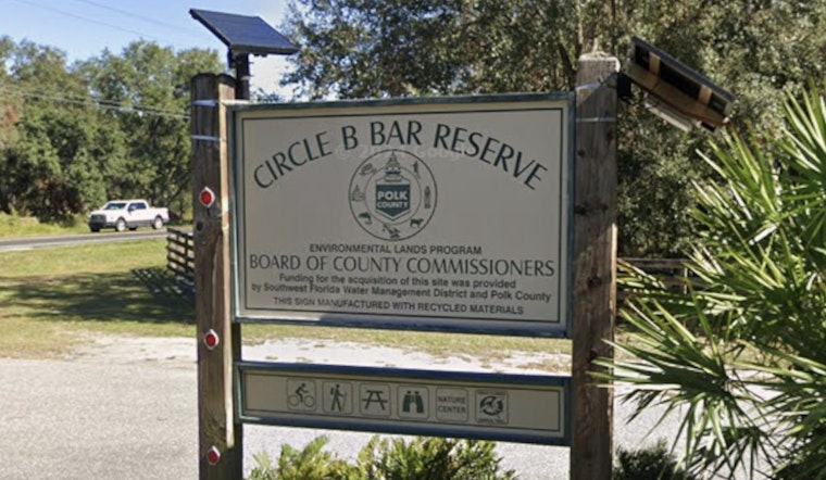 Lakeland's Circle B Choked With Dead Tilapia After Brutal Cold Snap