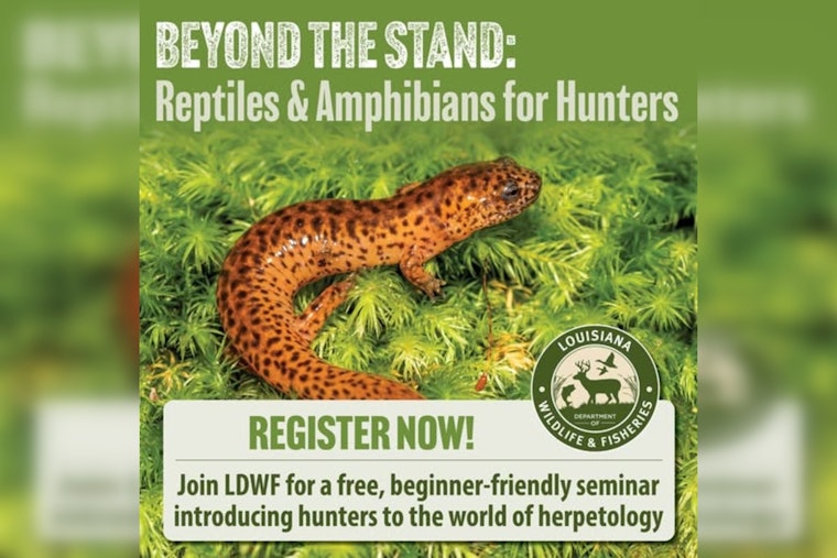 LDWF to Host "Beyond the Stand" Seminar for Hunters on Reptiles and Amphibians in Woodworth