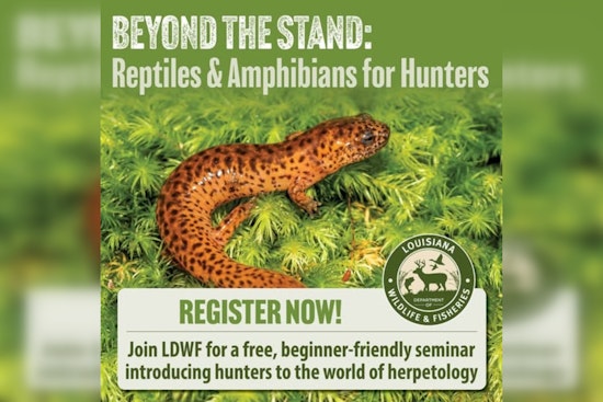 LDWF to Host "Beyond the Stand" Seminar for Hunters on Reptiles and Amphibians in Woodworth