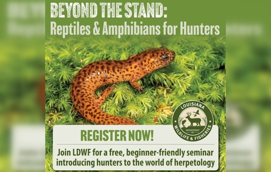 LDWF to Host "Beyond the Stand" Seminar for Hunters on Reptiles and Amphibians in Woodworth
