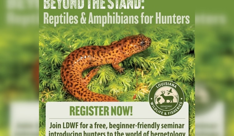 LDWF to Host "Beyond the Stand" Seminar for Hunters on Reptiles and Amphibians in Woodworth