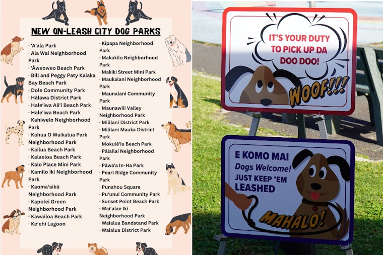 Leashes On, Paws Out As Honolulu Opens 36 Parks To Dogs