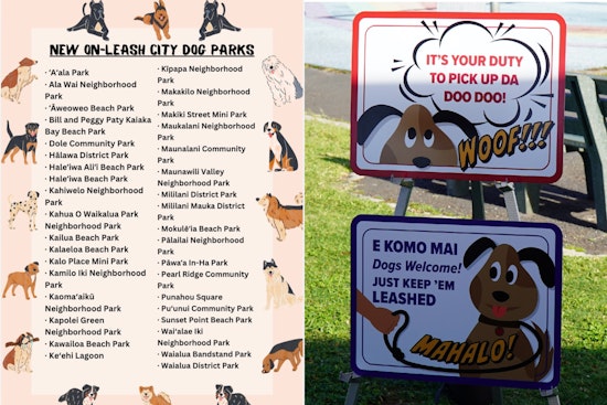 Leashes On, Paws Out As Honolulu Opens 36 Parks To Dogs